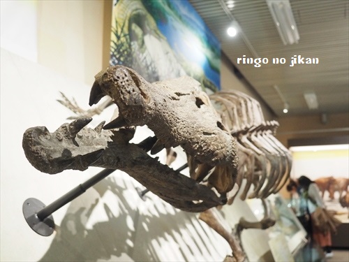 f:id:ringo_co:20190521142633j:plain f:id:ringo_co:20190521142633j:plain