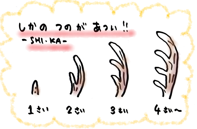 f:id:ringo_co:20190525132742p:plain f:id:ringo_co:20190525132742p:plain