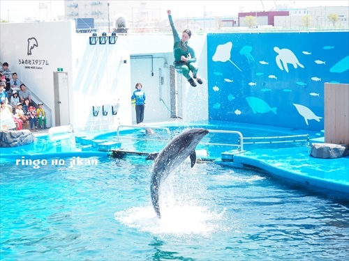 f:id:ringo_co:20190529234202j:plain
