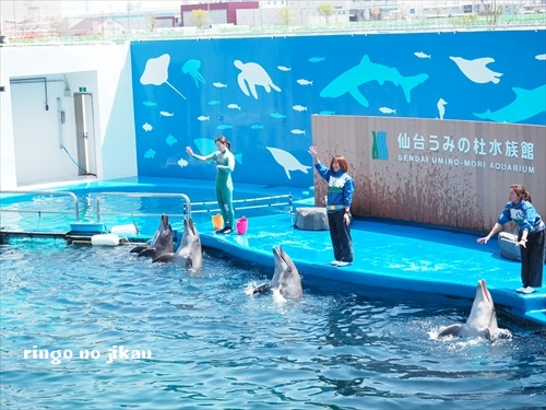 f:id:ringo_co:20190529234624j:plain