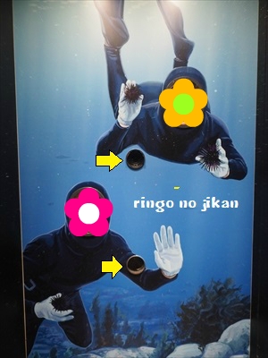 f:id:ringo_co:20190529235509j:plain