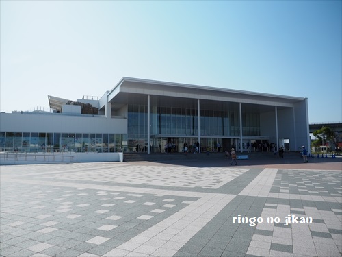 f:id:ringo_co:20190529235823j:plain