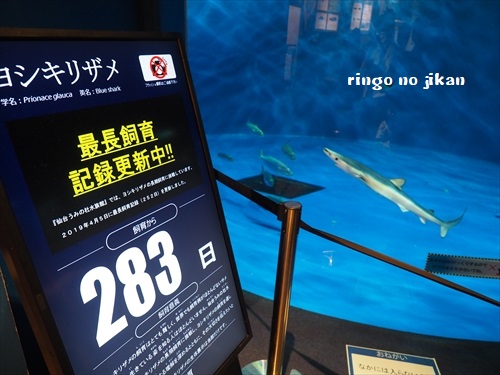f:id:ringo_co:20190530001006j:plain