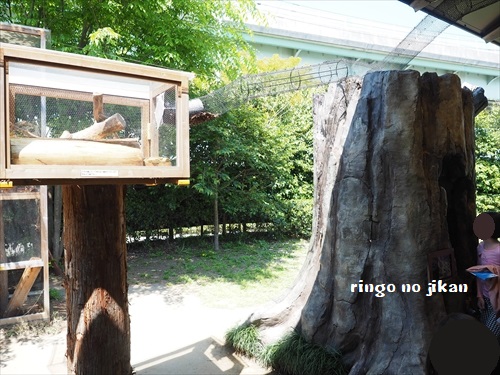 f:id:ringo_co:20190530001313j:plain
