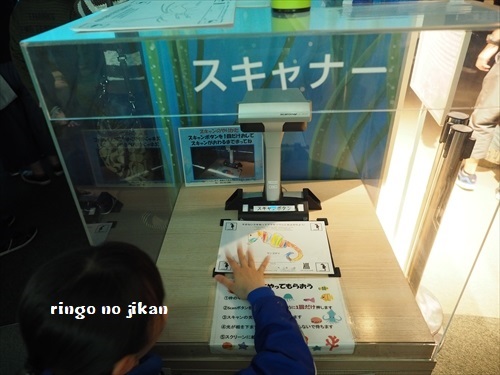 f:id:ringo_co:20190530002513j:plain