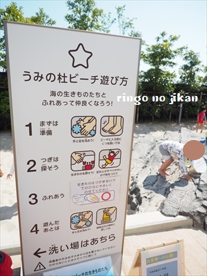 f:id:ringo_co:20190530003143j:plain