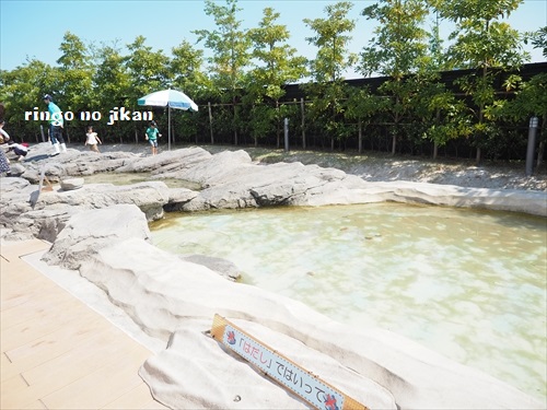 f:id:ringo_co:20190530003206j:plain