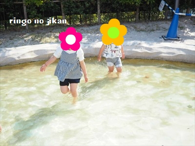 f:id:ringo_co:20190530003529j:plain