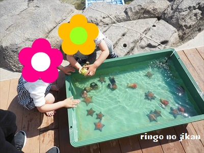 f:id:ringo_co:20190530003615j:plain