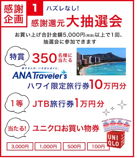 f:id:ringo_co:20190602000846j:plain