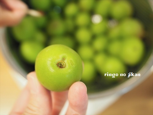 f:id:ringo_co:20190612061550j:plain f:id:ringo_co:20190612061550j:plain