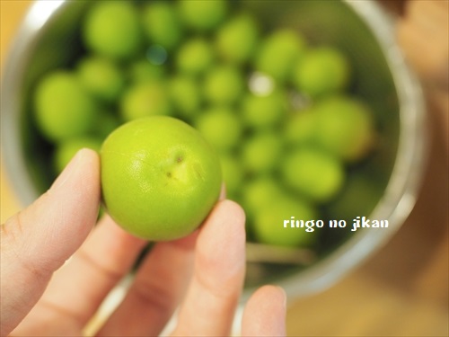 f:id:ringo_co:20190612061621j:plain f:id:ringo_co:20190612061621j:plain