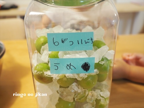 f:id:ringo_co:20190612062538j:plain f:id:ringo_co:20190612062538j:plain