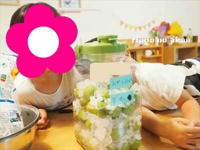 f:id:ringo_co:20190612062649j:plain f:id:ringo_co:20190612062649j:plain