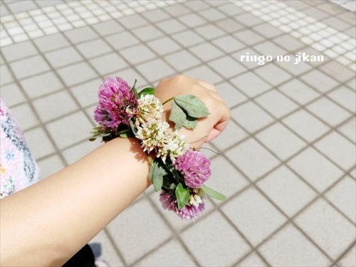 f:id:ringo_co:20190613003021j:plain