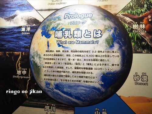 f:id:ringo_co:20190619105133j:plain f:id:ringo_co:20190619105133j:plain