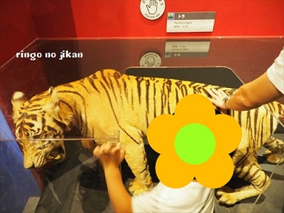 f:id:ringo_co:20190619111259j:plain f:id:ringo_co:20190619111259j:plain