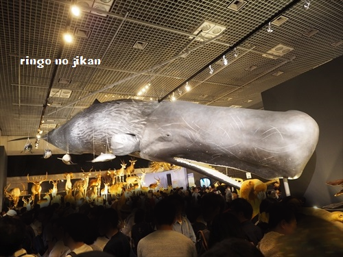 f:id:ringo_co:20190619111416p:plain f:id:ringo_co:20190619111416p:plain
