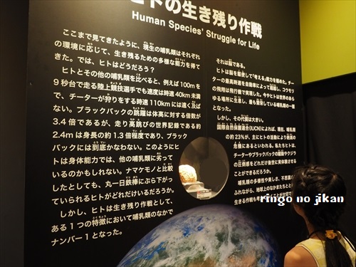 f:id:ringo_co:20190619112655j:plain f:id:ringo_co:20190619112655j:plain