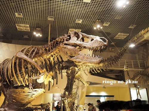 f:id:ringo_co:20190619113007j:plain f:id:ringo_co:20190619113007j:plain