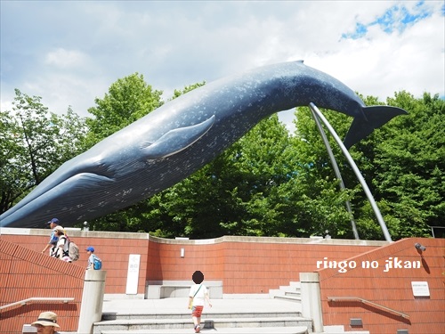 f:id:ringo_co:20190619113247j:plain f:id:ringo_co:20190619113247j:plain