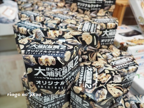 f:id:ringo_co:20190619132438j:plain f:id:ringo_co:20190619132438j:plain