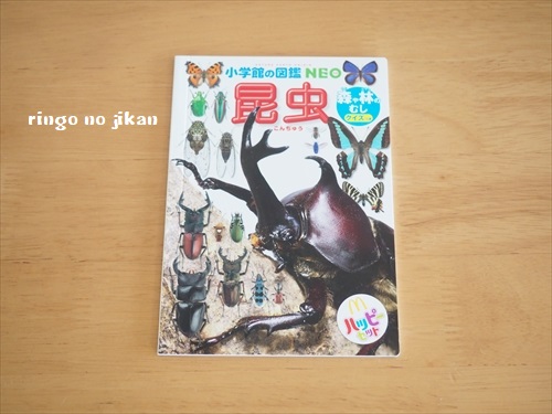 f:id:ringo_co:20190701232220j:plain