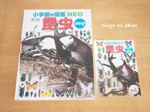f:id:ringo_co:20190701232335j:plain