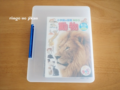 f:id:ringo_co:20190701232813j:plain