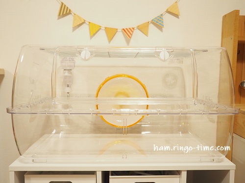 f:id:ringo_co:20190713034810j:plain f:id:ringo_co:20190713034810j:plain