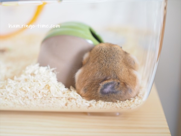 f:id:ringo_co:20190716003214j:plain f:id:ringo_co:20190716003214j:plain