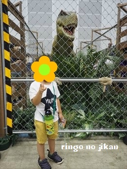 f:id:ringo_co:20190730000428j:plain