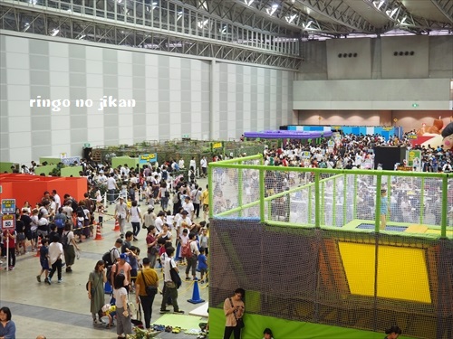 f:id:ringo_co:20190730002134j:plain