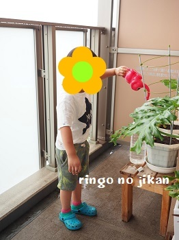 f:id:ringo_co:20190731235605j:plain f:id:ringo_co:20190731235605j:plain