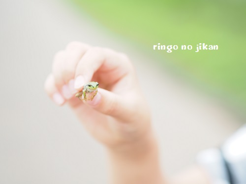 f:id:ringo_co:20190801001231j:plain f:id:ringo_co:20190801001231j:plain