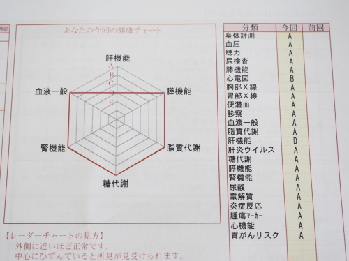 f:id:ringo_co:20190807074116j:plain