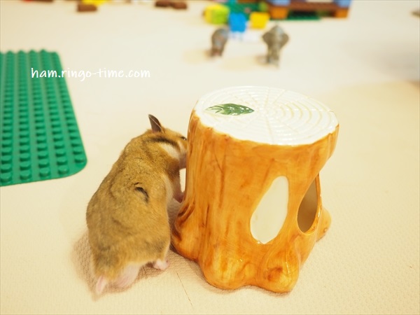 f:id:ringo_co:20190817084514j:plain