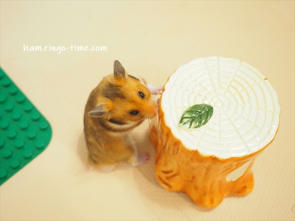 f:id:ringo_co:20190817084516j:plain