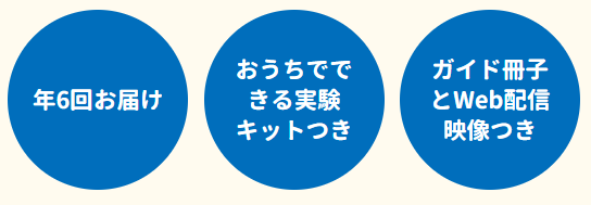 f:id:ringo_co:20190823113017p:plain