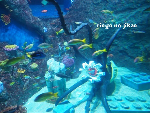 f:id:ringo_co:20190916230125j:plain
