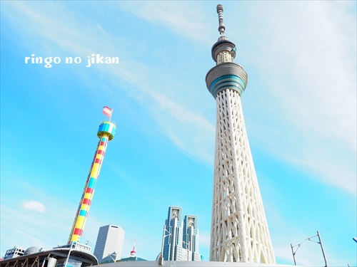 f:id:ringo_co:20190916234506j:plain