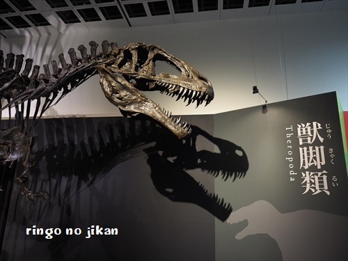f:id:ringo_co:20191014232242j:plain