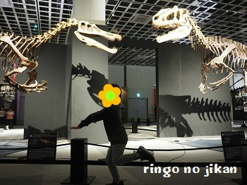 f:id:ringo_co:20191014232345j:plain