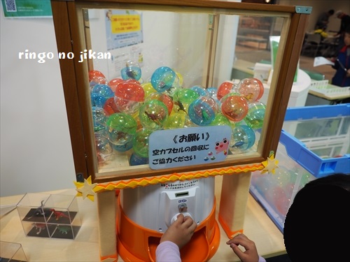 f:id:ringo_co:20191014233008j:plain