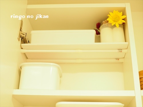 f:id:ringo_co:20191017130525j:plain