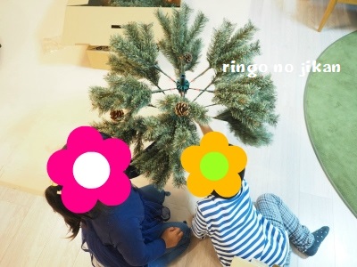 f:id:ringo_co:20191114232900j:plain