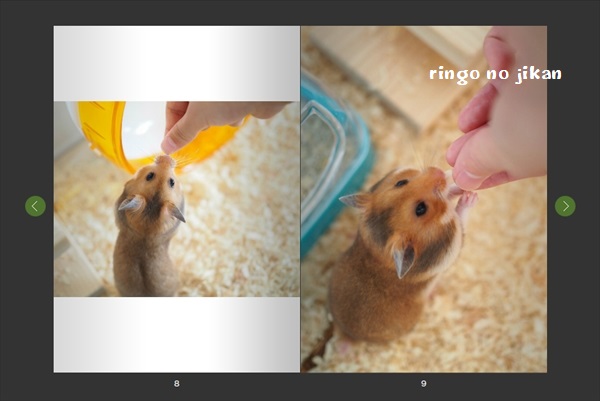 f:id:ringo_co:20191121232343j:plain