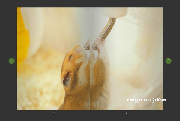 f:id:ringo_co:20191121232448j:plain f:id:ringo_co:20191121232448j:plain