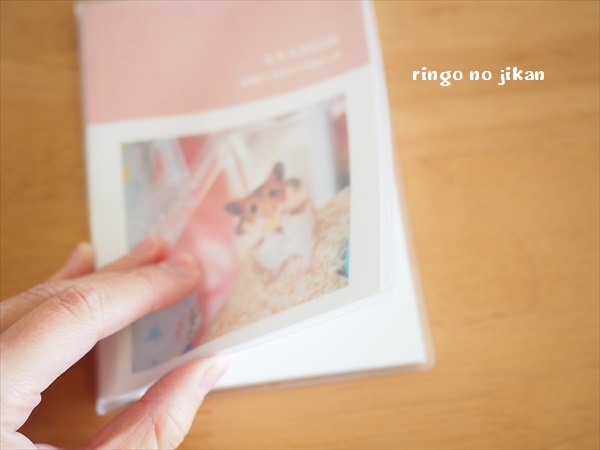f:id:ringo_co:20191121234424j:plain