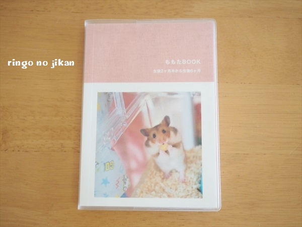 f:id:ringo_co:20191121235512j:plain